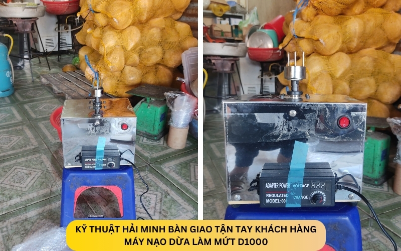 Máy nạo dừa làm mứt D1000