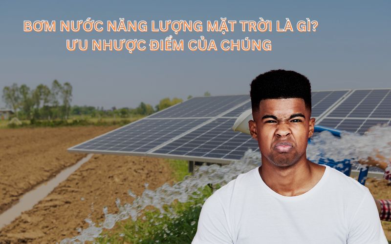 Bơm nước năng lượng mặt trời là gì? Ưu nhược điểm của chúng