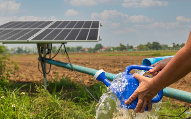 Ứng dụng năng lượng mặt trời trong nông nghiệp