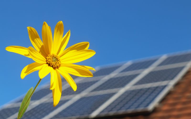 Ưu và nhược điểm của điện mặt trời hòa lưới