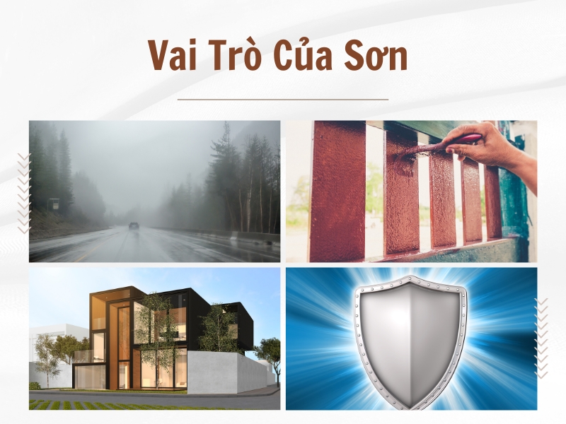 Vai-tro-cua-Son