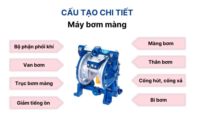 Những đặc điểm của máy bơm màng sơn Prona R41 (1.5 inch)