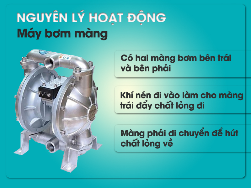 nguyên lý hoạt động của máy bơm màng