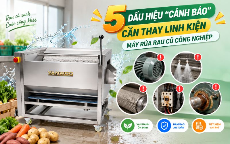 5 Dấu hiệu “cảnh báo” cần thay linh kiện máy rửa rau củ công nghiệp