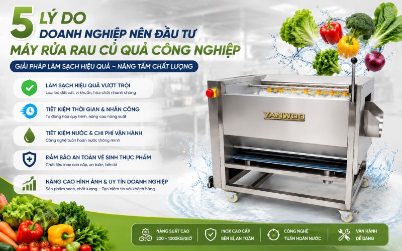 5 Lý do doanh nghiệp nên đầu tư máy rửa rau củ quả công nghiệp