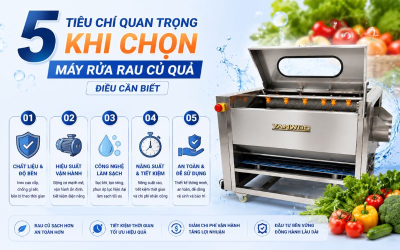 5 Tiêu chí quan trọng khi chọn máy rửa rau củ quả - Điều cần biết
