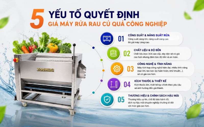 5 Yếu tố quyết định giá máy rửa rau củ quả công nghiệp