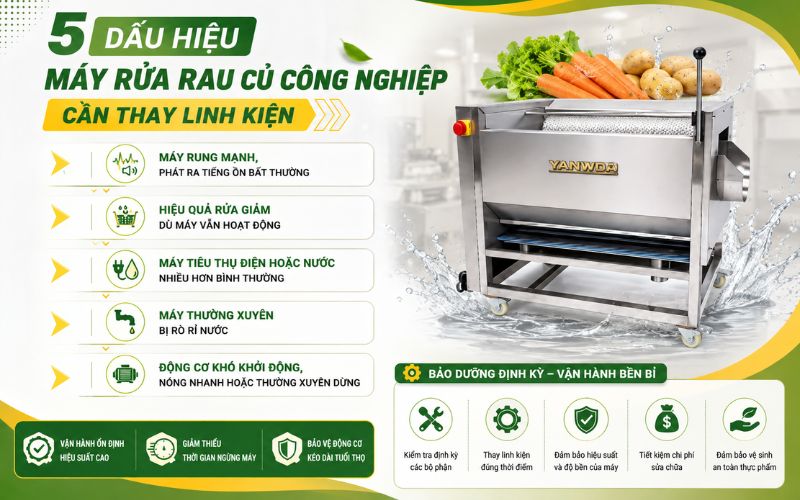 5 dấu hiệu máy rửa rau củ công nghiệp cần thay linh kiện 
