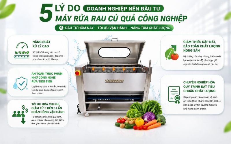 5 lý do nên đầu tư máy rửa rau củ quả công nghiệp