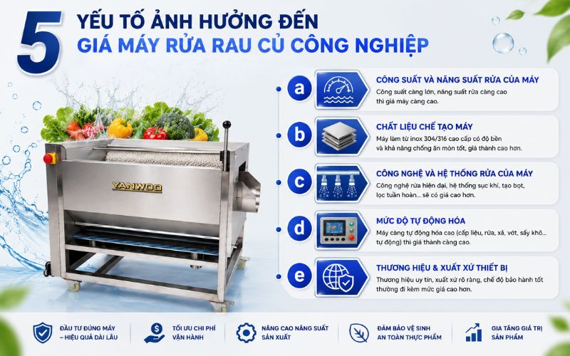 5 yếu tố ảnh hưởng đến giá máy rửa rau củ công nghiệp