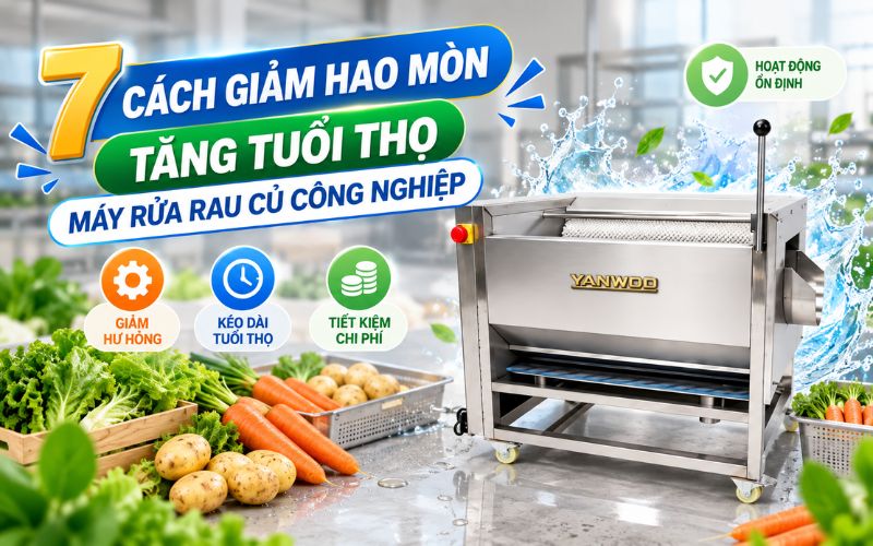 7 Cách giảm hao mòn, tăng tuổi thọ máy rửa rau củ công nghiệp