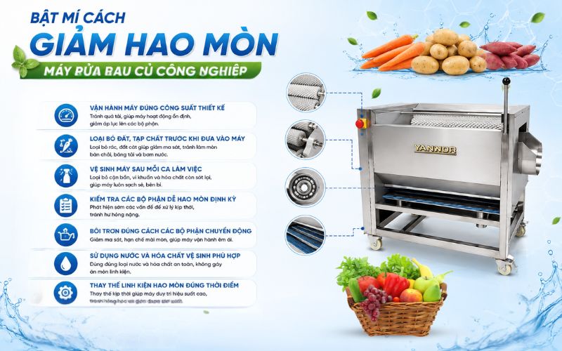 Bật mí cách giảm hao mòn máy rửa rau củ công nghiệp