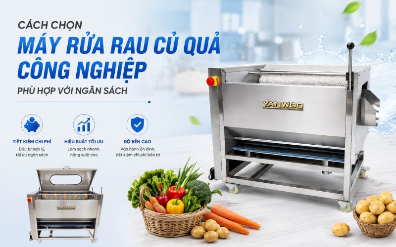 Cách chọn máy rửa rau củ quả công nghiệp phù hợp với ngân sách