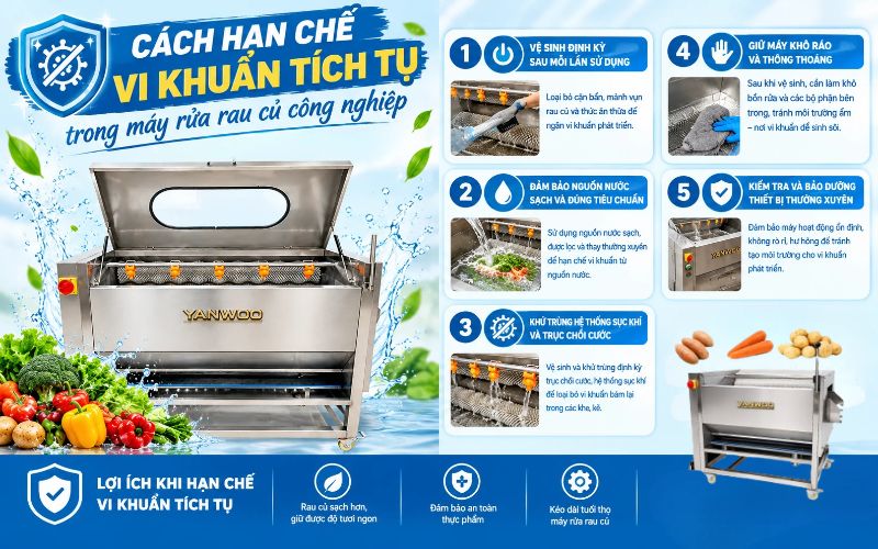 Cách hạn chế vi khuẩn tích tụ trong máy rửa rau củ công nghiệp