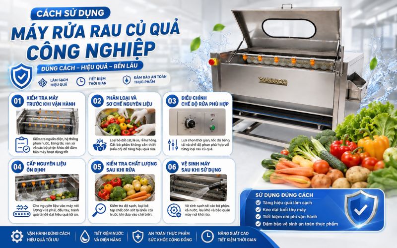 Cách sử dụng máy rửa rau củ quả công nghiệp đúng cách