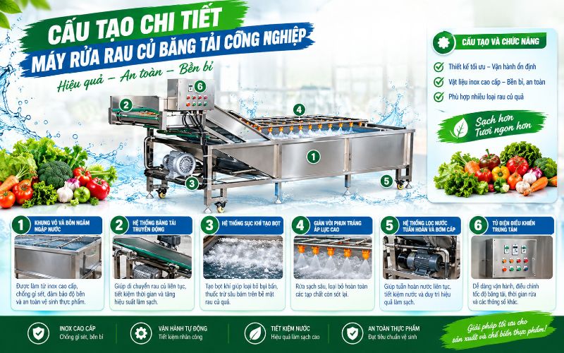Cấu tạo chi tiết của máy rửa rau củ băng tải công nghiệp