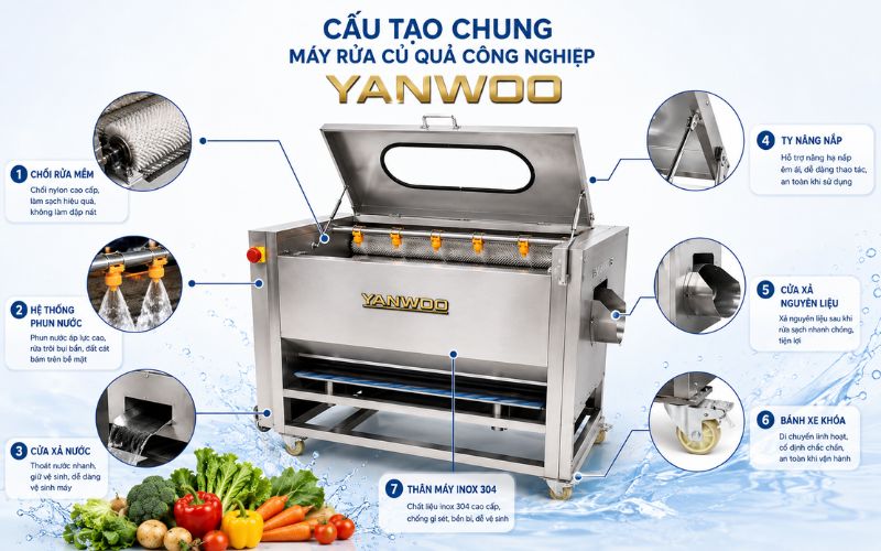 Cấu tạo chung của máy rửa củ quả công nghiệp Yanwoo