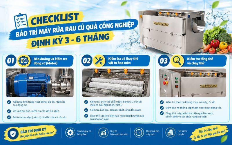 Checklist bảo trì máy rửa rau củ quả công nghiệp định kỳ 3-6 tháng