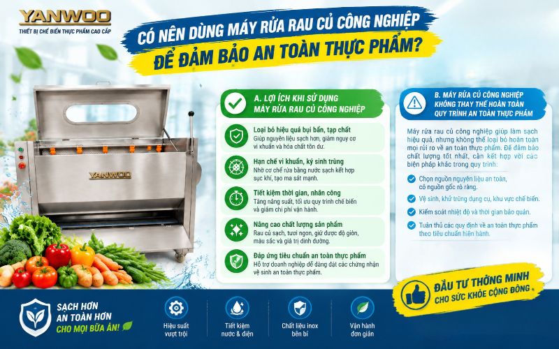 Có nên dùng máy rửa rau củ công nghiệp để đảm bảo an toàn thực phẩm?