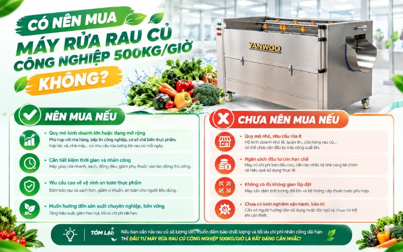 Có nên mua máy rửa rau củ công nghiệp 500kg/giờ không?