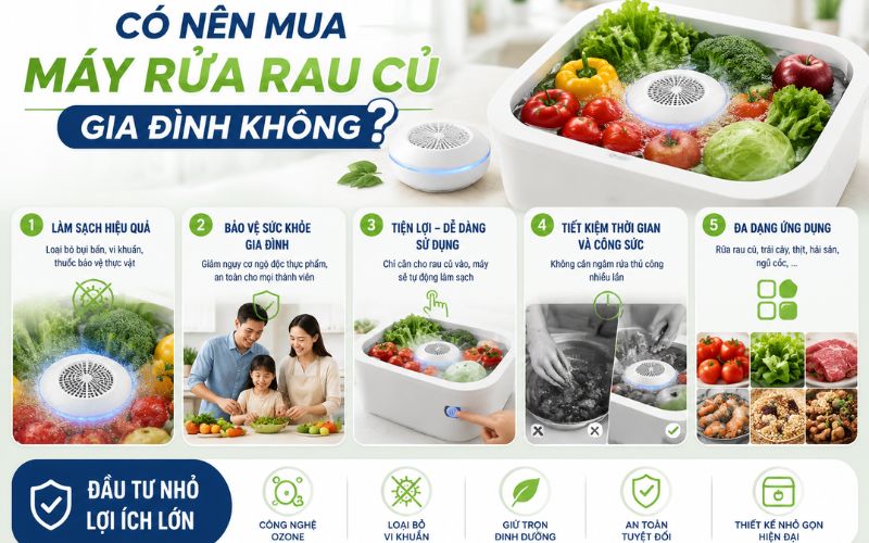 Có nên mua máy rửa rau củ gia đình không?