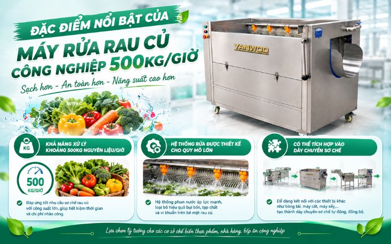 Đặc điểm của máy rửa rau củ công nghiệp 500kg/giờ