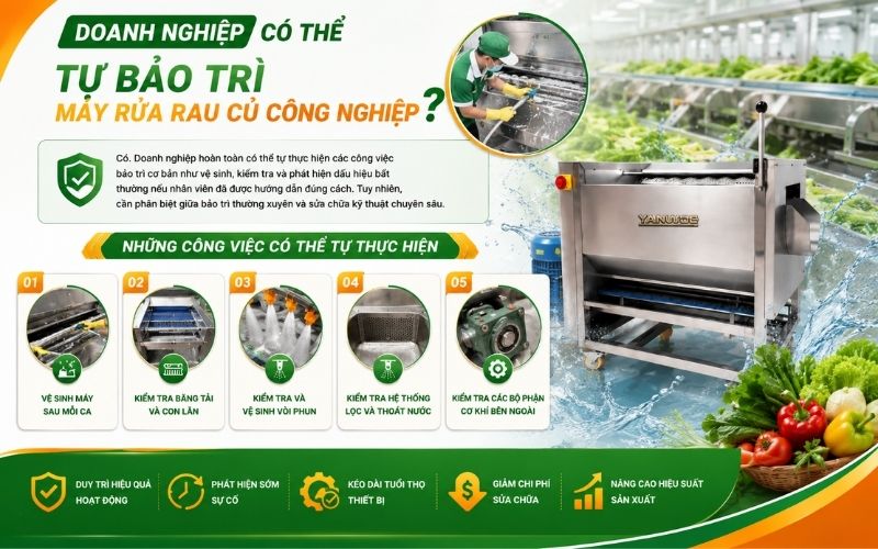 Doanh nghiệp có thể tự bảo trì máy rửa rau củ công nghiệp không?