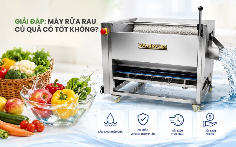 Giải đáp: Máy rửa rau củ quả có tốt không? 
