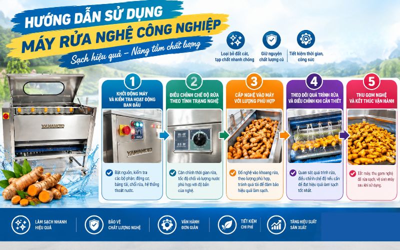 Hướng dẫn sử dụng máy rửa nghệ công nghiệp sạch hiệu quả