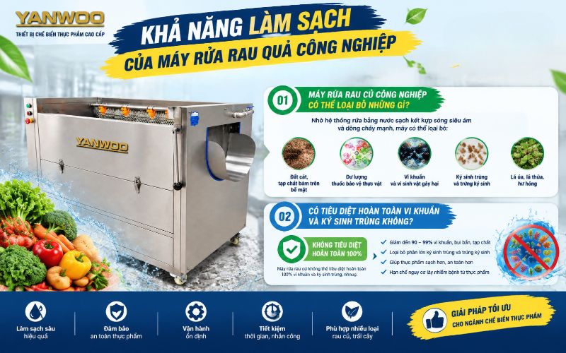 Khả năng làm sạch của máy rửa rau quả công nghiệp