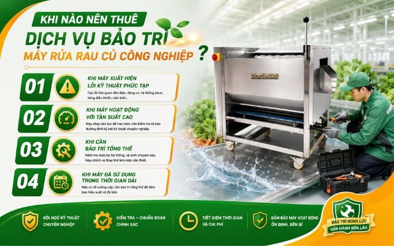 Khi nào nên thuê dịch vụ bảo trì máy rửa rau củ công nghiệp?