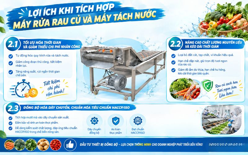 Lợi ích khi tích hợp máy rửa rau củ và máy tách nước