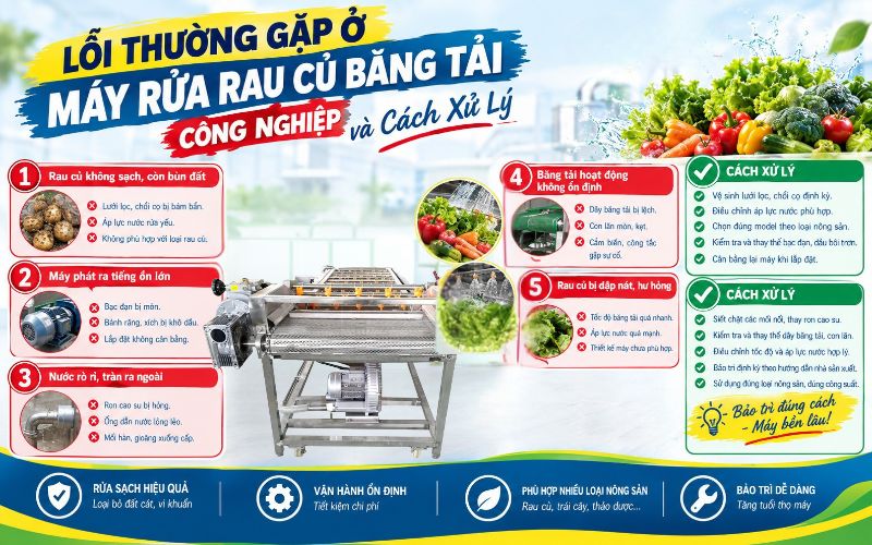 Lỗi thường gặp ở máy rửa rau củ băng tải công nghiệp và cách xử lý