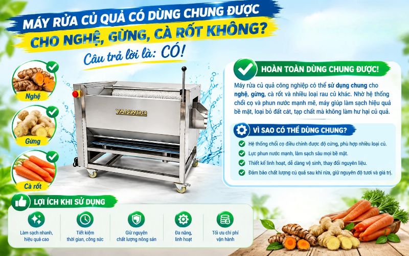 Máy rửa củ quả có dùng chung cho nghệ, gừng, cà rốt không