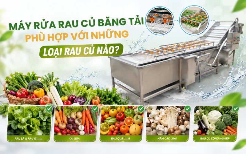 Máy rửa rau củ băng tải phù hợp với những loại rau củ nào?