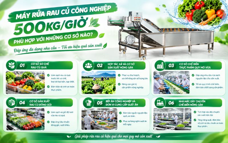 Máy rửa rau củ công nghiệp 500kg/giờ phù hợp với cơ sở nào?