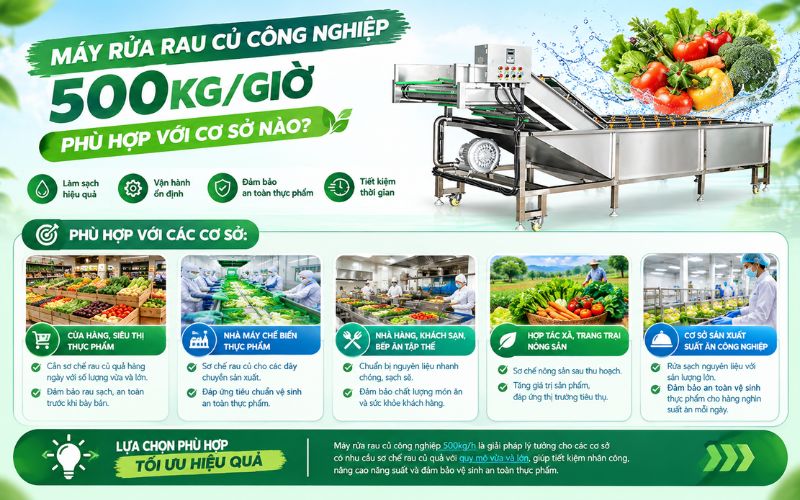 Máy rửa rau củ công nghiệp 500kg/giờ phù hợp với cơ sở nào