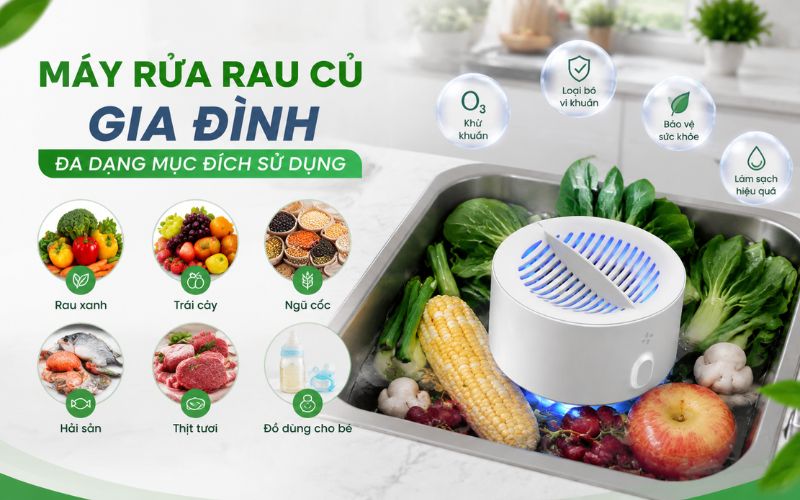 Máy rửa rau củ gia đình - Đa dạng mục đích sử dụng