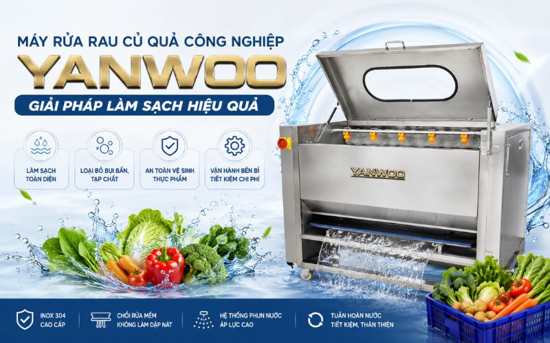 Máy rửa rau củ quả công nghiệp Yanwoo - Giải pháp làm sạch hiệu quả