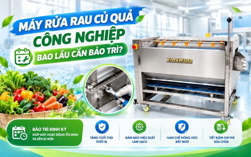 Máy rửa rau củ quả công nghiệp bao lâu cần bảo trì