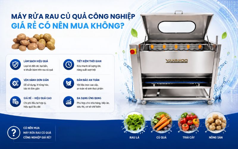 Máy rửa rau củ quả công nghiệp giá rẻ có nên mua không
