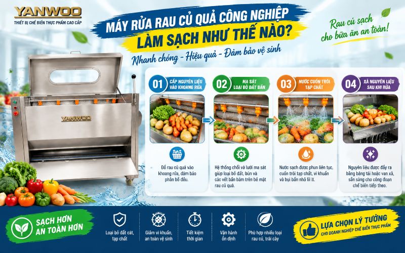 Máy rửa rau củ quả công nghiệp làm sạch như thế nào?
