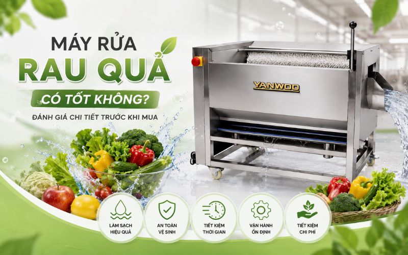 Máy rửa rau quả có tốt không? Đánh giá chi tiết trước khi mua