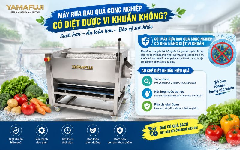Máy rửa rau quả công nghiệp có diệt được vi khuẩn không