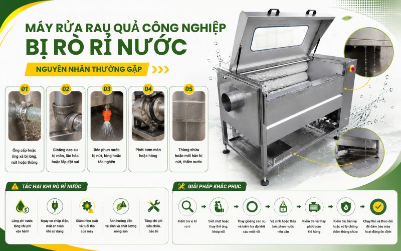 Máy rửa rau quả công nghiệp thường xuyên bị rò rỉ nước