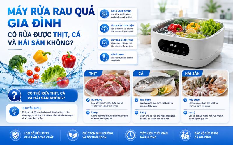 Máy rửa rau quả gia đình có rửa được thịt, cá và hải sản không