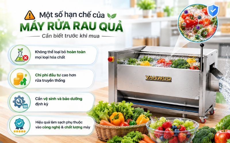 Một số hạn chế của máy rửa rau quả cần biết trước khi mua 