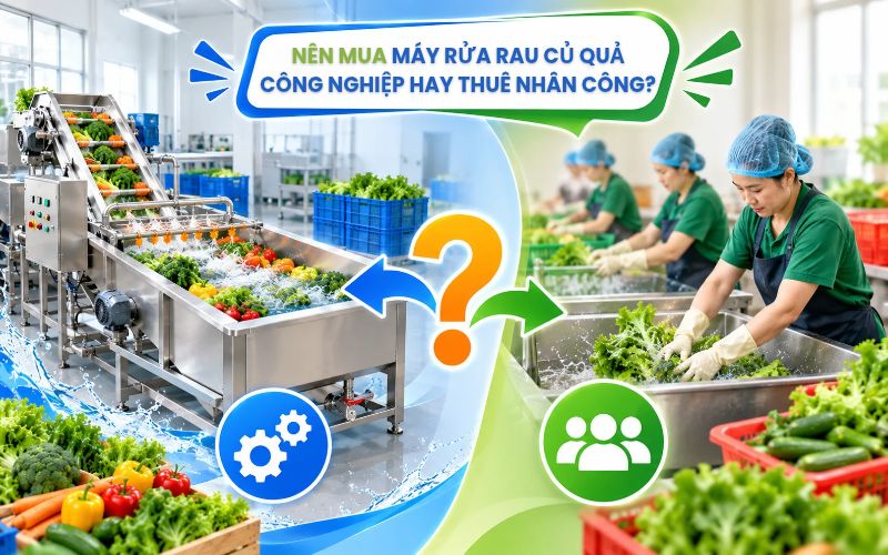 Nên mua máy rửa rau củ quả công nghiệp hay thuê nhân công?