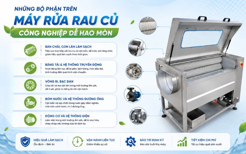 Những bộ phận trên máy rửa rau củ công nghiệp dễ hao mòn