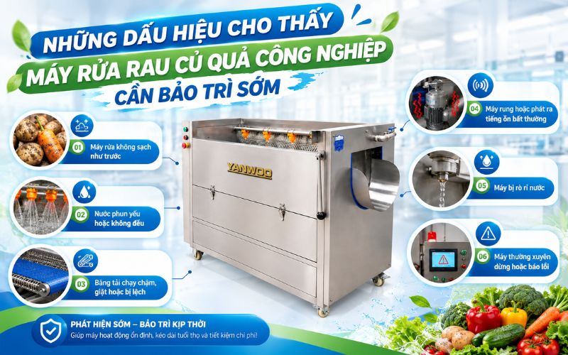 Những dấu hiệu cho thấy máy rửa rau củ công nghiệp cần bảo trì sớm